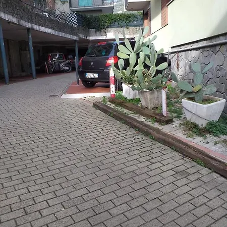Apartament Aloe *